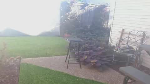 srtxshow online show from September 26, 2:36 pm