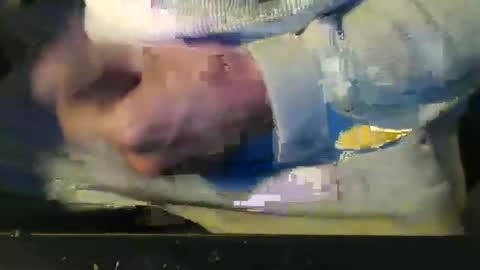 CIPPALIPPA online show from October 18, 10:03 pm