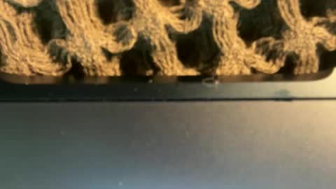 stardustgravity online show from September 19, 2:05 am