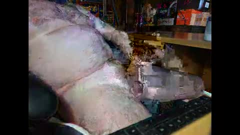 starwatcher14 online show from November 18, 6:00 pm