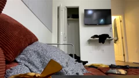 Stealersphan online show from April 4, 2:07 am