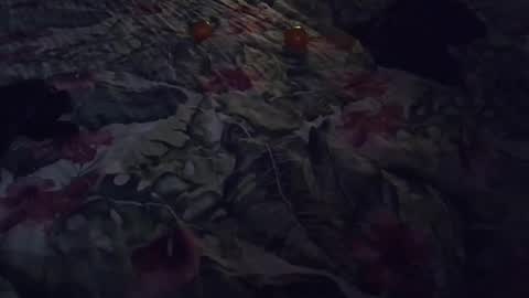 Rocco-load online show from January 7, 6:56 pm