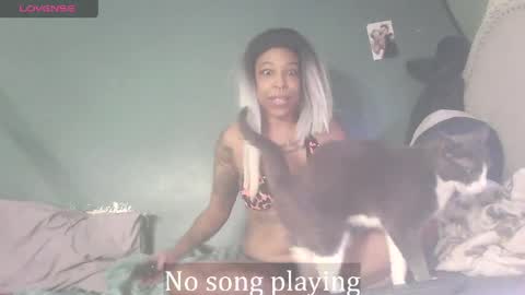 Stella Clitella online show from April 2, 7:15 am