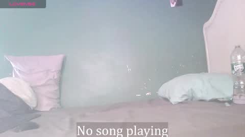 Stella Clitella online show from January 18, 12:03 pm