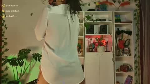 stellart_ online show from December 2, 2:10 am