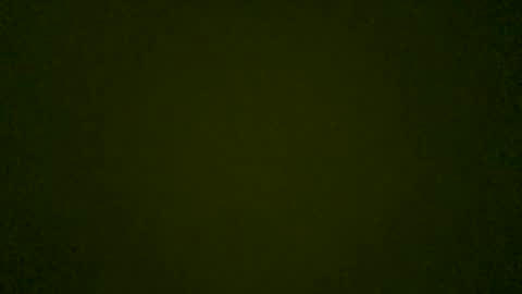 stensurfarn online show from May 26, 8:09 am