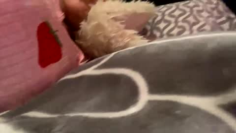 Stephanie hot99  online show from March 3, 6:26 am