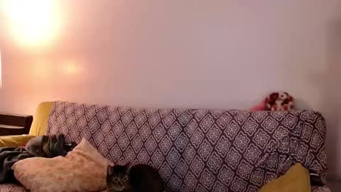 Strawberrylotsacake online show from November 24, 4:05 pm