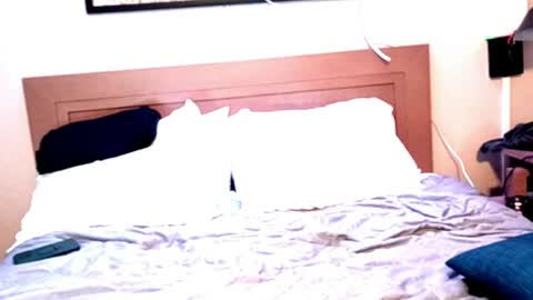 sukkubiss online show from March 14, 8:29 am