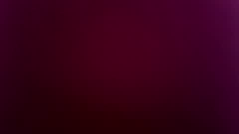 suly online show from November 3, 4:57 am