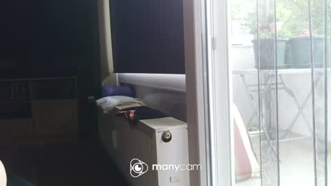 sven online show from June 28, 5:36 am
