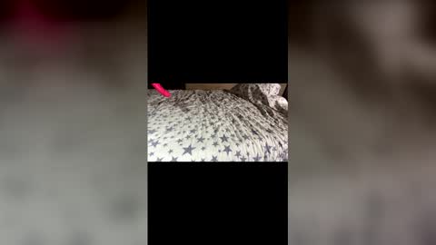 Stony online show from December 21, 11:27 am