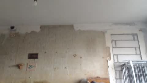 Sveti online show from February 1, 2:02 pm