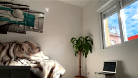 ALBA online show from November 28, 10:55 am