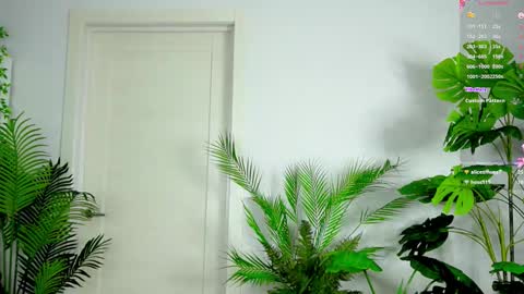 Alice online show from October 3, 3:31 pm