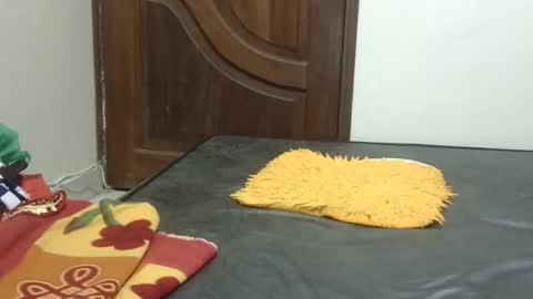 Sharon online show from November 22, 9:56 pm