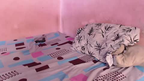 sweet_tianiss4 online show from February 4, 8:24 pm