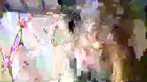 sweetdimple69 online show from September 9, 2:06 pm