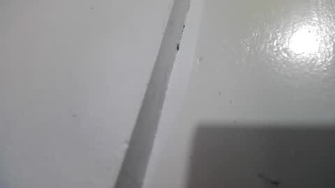 Stacy online show from April 13, 3:05 pm