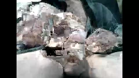 sybomec online show from February 5, 9:13 am