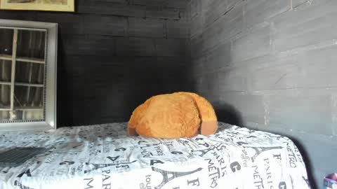 Snapshot of taurus_boy1 chatting on January 17, 6:02 pm  T A U R U S  online show from January 17, 6:02 pm