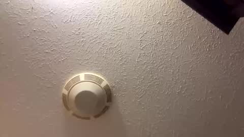 Lilbeebs online show from October 24, 7:03 pm