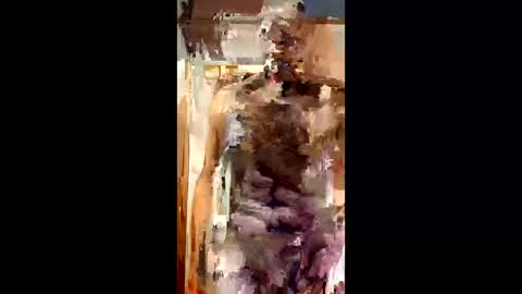 Tboner online show from February 18, 5:02 pm