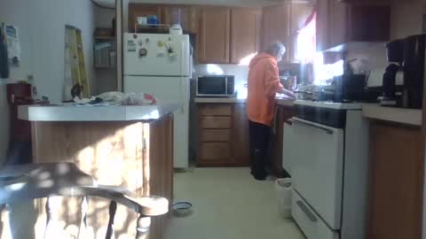 Teak online show from February 18, 8:58 pm