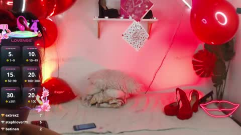 tefy_bratz online show from February 14, 9:56 am