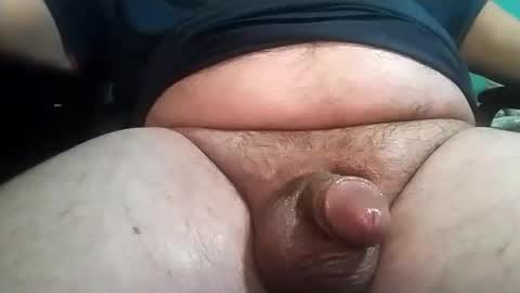 Templargeor online show from February 19, 1:18 am