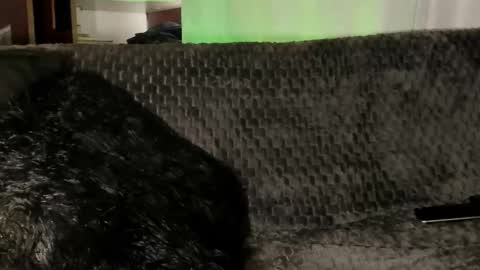 Teo online show from January 8, 4:02 pm