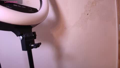 Terra Elowen online show from November 29, 11:40 am