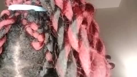 sexi lexi online show from January 17, 5:32 am