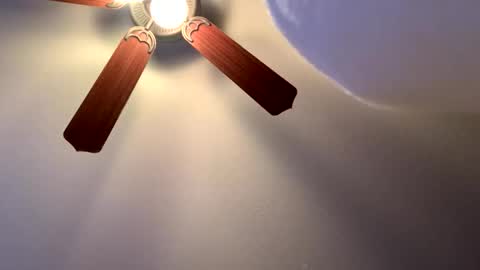 country cock 2020 online show from February 18, 12:05 am