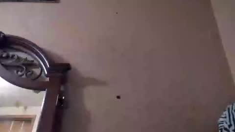 the_invincible_1 online show from October 26, 7:31 am