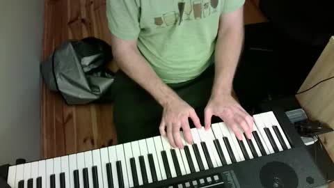 Snapshot of the_naked_pianists chatting on February 17, 9:00 pm Stephan 34  Cassandra 25 online show from February 17, 9:00 pm