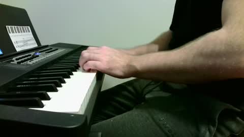Snapshot of the_naked_pianists chatting on January 2, 10:33 pm Stephan 34  Cassandra 25 online show from January 2, 10:33 pm
