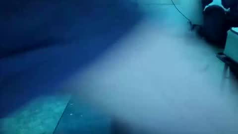 theepussypirate online show from March 1, 11:14 am