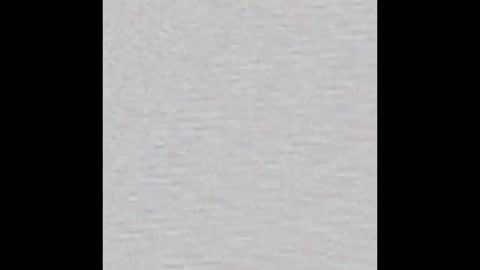 Wolf Independent model online show from November 30, 2:46 pm