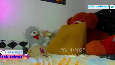 Prince online show from November 25, 3:00 pm