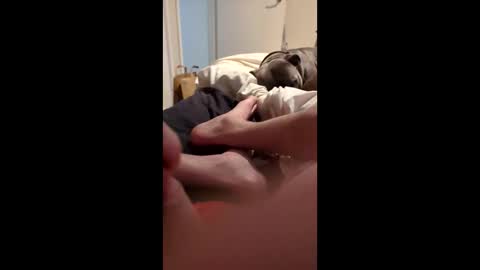 theking69996 online show from November 12, 2:36 am