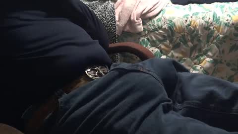 thetnguy online show from January 11, 7:59 pm