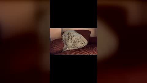 Mr. Perfect Dick online show from January 18, 10:08 pm