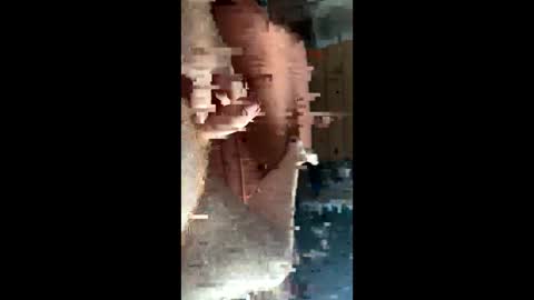 thisguyfucks92 online show from December 23, 7:17 am