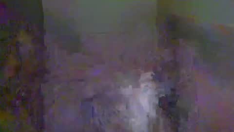 Tom online show from January 11, 11:00 pm