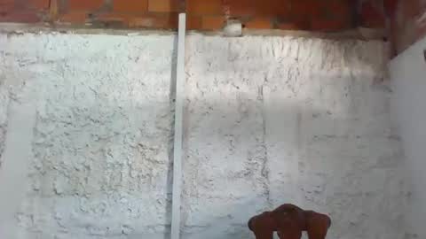 Tifany online show from February 11, 4:24 pm