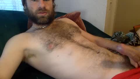 Snapshot of tigerzaddy chatting on December 14, 2:53 pm tigerzaddy online show from December 14, 2:53 pm