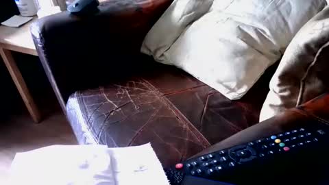 timwank333 online show from March 12, 2:10 pm