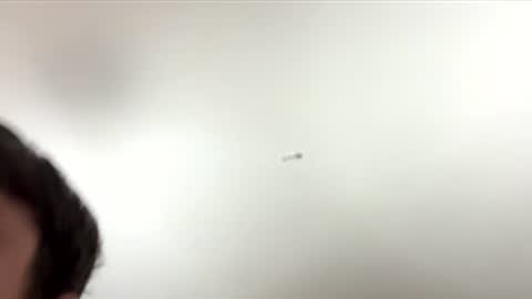 tinkerbell865 online show from January 18, 11:36 pm