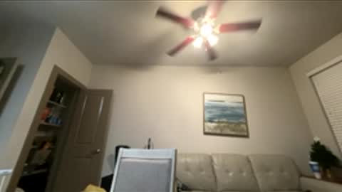 tittielover12347 online show from January 8, 1:00 am